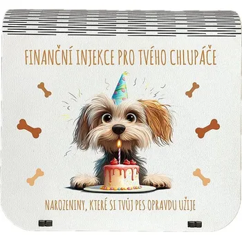Vánoční dekorace Coolkousky Originální dárková krabička na bankovky v injekcích - "Finanční pomoc pro tvého chlupáče"