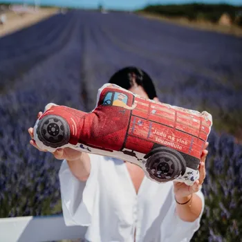 Dekorativní polštářek Lavandia polštářek s BIO levandulí LavandoTruck Novinka s BIO levandulí