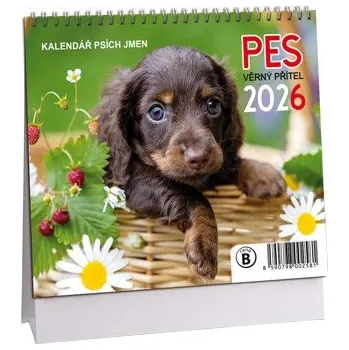 Diář Stolní kalendář ARIA 2026 MINI - Pes - věrný přítel