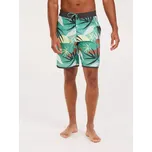 Pánské plážové šortky Protest PRTADDO velikost L vícebarevná