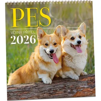 Diář Nástěnný kalendář ARIA 2026 - Pes - věrný přítel