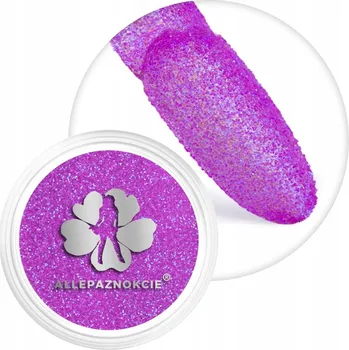Prášek na nehty Ozdoby Na Nechty ALLEPAZNOKCIE 2g Třpytky Růžové Pink Č.99