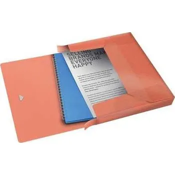 Archivační box Box na spisy s gumičkou "Colour'Ice", broskvová, 25 mm, PP, A4, ESSELTE,rychlé dodání