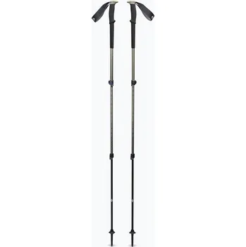 Trekingová hůl Trekingové hole TRAIL Black Diamond pine smoke, grafit