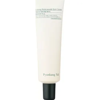 Pleťový krém Pyunkang Yul - Calming Madecassoside Spot Cream - Lokální krém ke zklidnění problematických oblastí - 30 ml