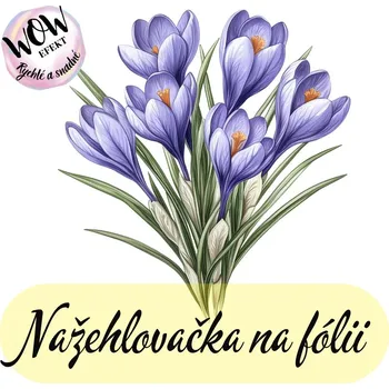Nažehlovačky na fólii Nažehlovačka na fólii, KROKUS, 9,6x9,4cm /ks
