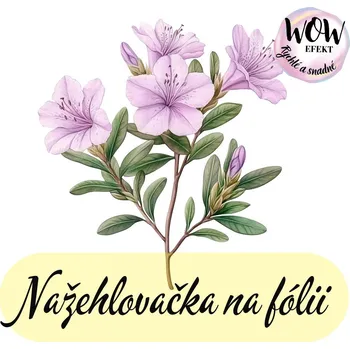 Nažehlovačky na fólii Nažehlovačka na fólii, AZALKA, 9,1x8,5cm /ks