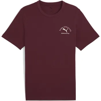 Pánské Tričko s krátkým rukávem PUMA PUMA CLASS GRAPHIC TEE 68821996 – Vínová XL