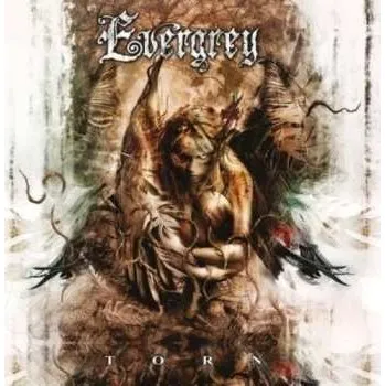 Zahraniční hudba CD Evergrey: Torn LTD | DIGI 2010 Digipack Limited Edition