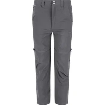 Chlapecké kalhoty Dětské kalhoty Regatta Jnr Highton Z/O Dětská velikost: 135-140 / Barva: šedá