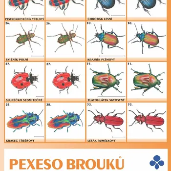 Rezekvítek Pexeso brouků