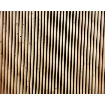 Stavební profil Fasádní profil ostrohranný modřín severský 28x48x3000 A/B