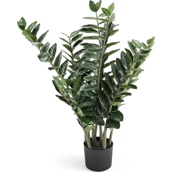 umělá květina AJ Produkty Umělá rostlina EVERGREEN, kulkas zamiolistý, výška 1000 mm