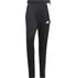 adidas Tiro 24 Training Pants IP1952, L