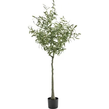 umělá květina Umělá rostlina EVERGREEN, olivovník, výška 1700 mm, 1 ks