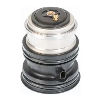 Auto-moto Termostat, chladivo BorgWarner (Wahler) 410448.107D