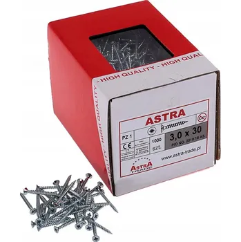 Vrták Šrouby do dřeva Astra 3 x 30 mm 1000 ks