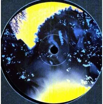 Zahraniční hudba LP Paul Randolph: Echoes #2 2010