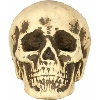 Fiestas Guirca lebka 30 x 22 cm, béžová pěna