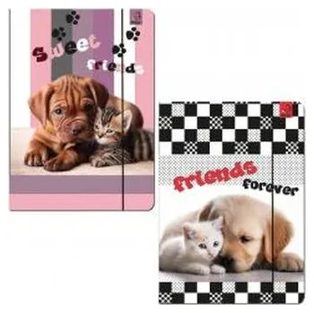 Set školních potřeb Teczka A4 z gumką Psy Koty mix