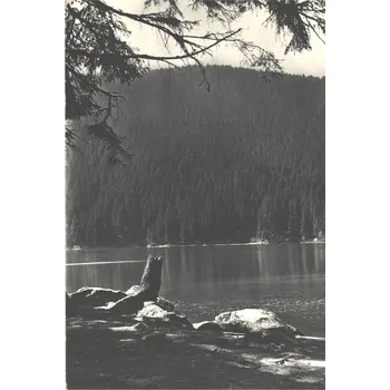 Stará Pohlednice - Šumava Čertovo Jezero (Černobílá fotopohlednice)