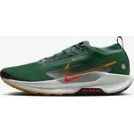 Nike Pegasus Trail 5 Gore-tex EUR 42
