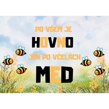 Plechová cedule Plechová retro cedule - Po všem je hovno, jen po včelách med Provedení: Dibond: 30 x 20 cm