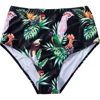 Dámské plavky Dámské plavkové kalhotky s vysokým pasem - C,M