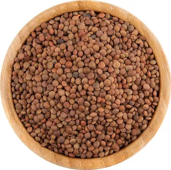 Příloha Vital Country Čočka hnědá BIO 500 g