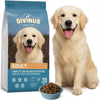 Krmivo pro psa Krmivo krmivo Divinus Adult pro dospělé psy 20 kg