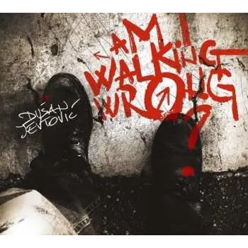 Zahraniční hudba CD Dušan Jevtović: Am I Walking Wrong? 2013