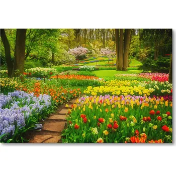 Obraz Obraz na plátně DIVOKÉ KVĚTY SEDMIKRÁSKY OLEJOVÝ OBRAZ 30 x 20 cm