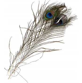 umělá květina DLOUHÁ UMĚLÁ PAVÍ PÍRKA 32 CM CRAFT WITH FUN DEKORATIVNÍ PAVÍ PÉŘÍ