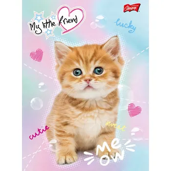 Sešit Sešit A5 s pomocnými linkami pro prvňáčky, dívčí design, Majewski, 16 listů