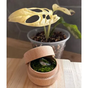 Dárková krabička Krabička na šperky