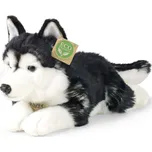 Rappa Plyšový pes husky 36 cm ECO-FRIENDLY