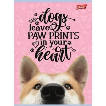 Sešit Sešit A5 s linkami pro děti, barevné školní sešity A5, 16 listů Majewski 16 listů