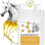 Dromy Kurkumový sirup 1 l