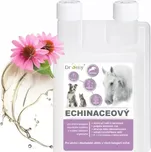 Dromy Echinaceový sirup 1 l