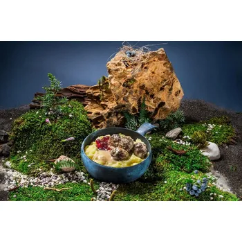 jídlo na cestu Adventure Menu Dětské jídlo Švédské masové kuličky s krémovou omáčkou a bramborovou kaší