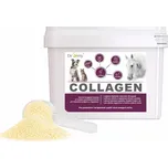 Dromy Collagen