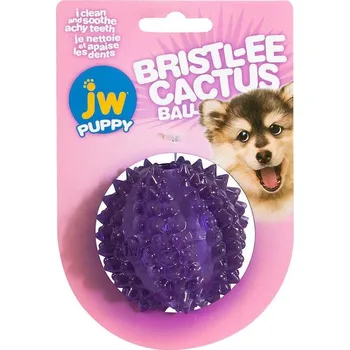 Hračka pro psa JW Pet JW Bristl-ee Cactus Ball