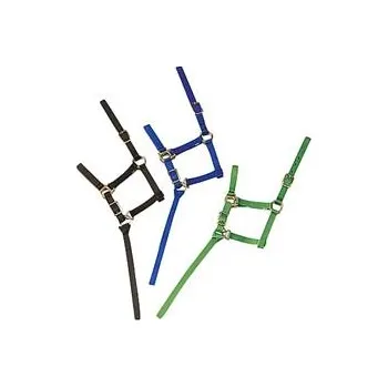 Ohlávka Hříbě s vodící šňůrkou oranžová