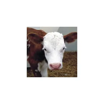 Krmivo pro hospodářské zvíře Glucosol 10 kg - doplň. krmivo