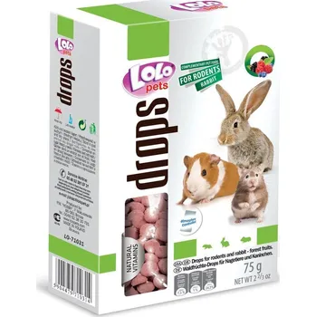 Krmivo pro hlodavce LOLO dropsy ovocné pro hlodavce 75 g