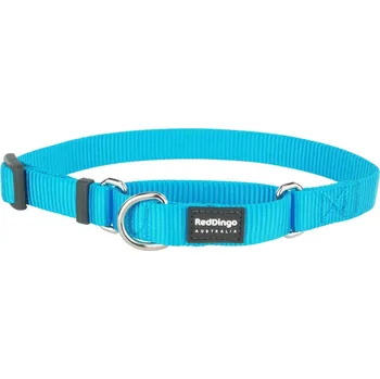 Obojek pro psa Red Dingo obojek polostahovací – Turquoise – 20 mm x 30-44 cm