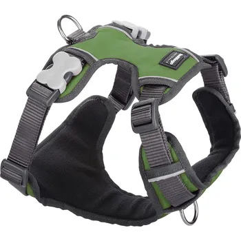 Postroj pro psa Red Dingo postroj polstrovaný – Green – 20 mm x 46-63 cm