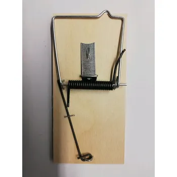 Dezinfekce Past na potkany