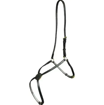 Nánosník mexický černý (nikl.kování)