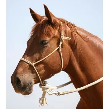 Ohlávka provazová béžová Pony